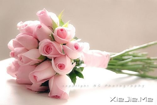 25lǻZ (4)