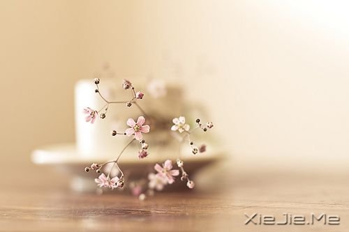 ־£(jin)ֲиֱɹ (2)