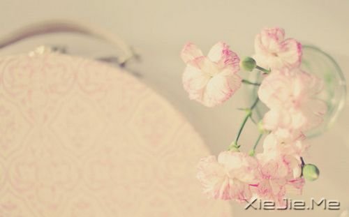 ΢Цů_ (2)