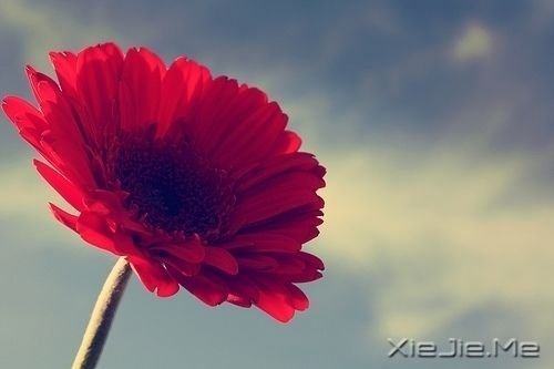 W(xu)(hu)W(xu)(hu)ӛ