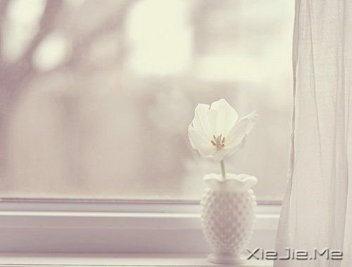 ·ϵ50l(jng)Z (2)