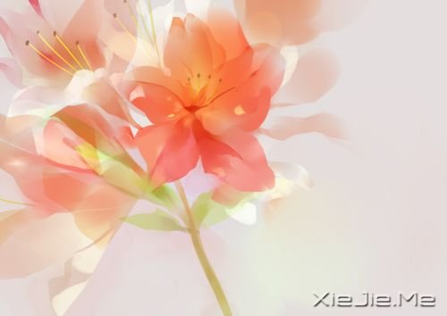 ·ϵ50l(jng)Z (3)