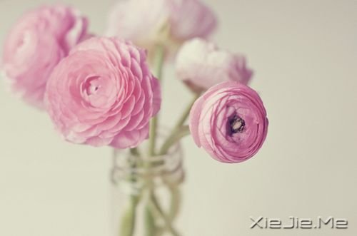 ·ϵ50l(jng)Z (4)