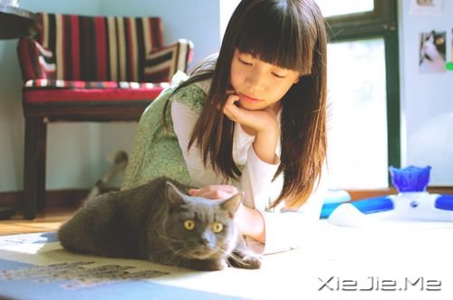 fҪԼ (5)