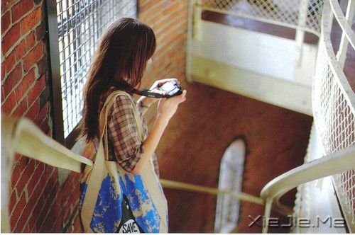fҪԼ (7)