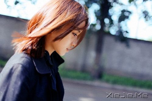 S@ǳL(zhng) (1)