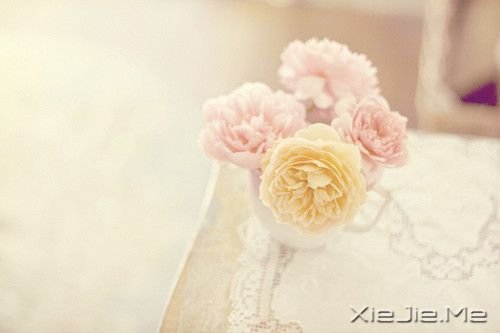 oһN (3)