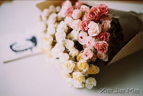 oһN (5)