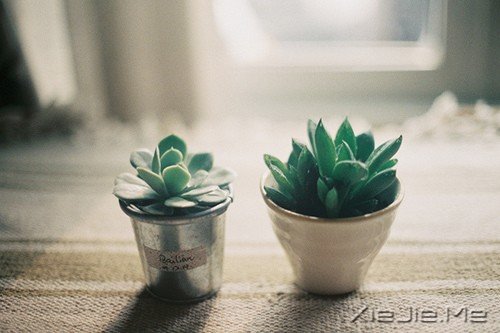 W(xu)(hu)׃Լ